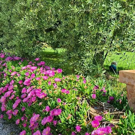 Apartamento Casa La Farfalla Pt San Miniato
